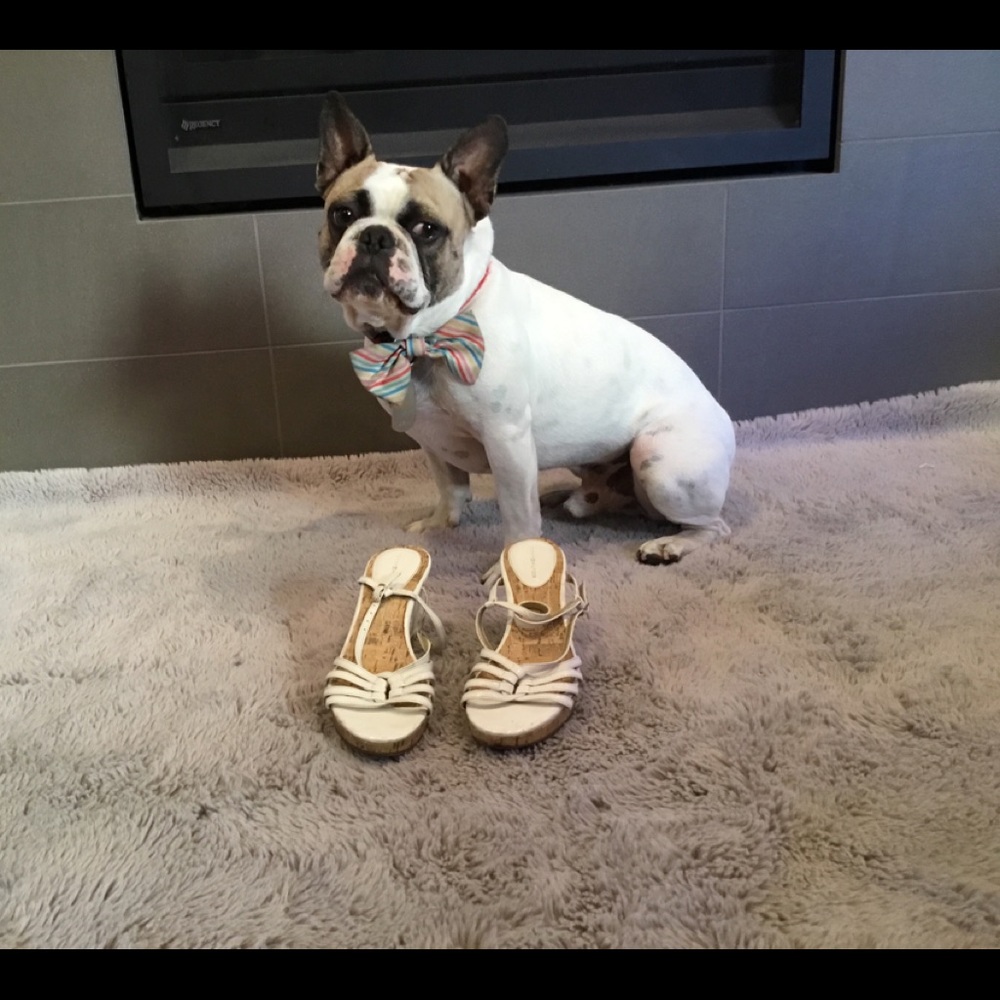Tommy Hilfiger shoes